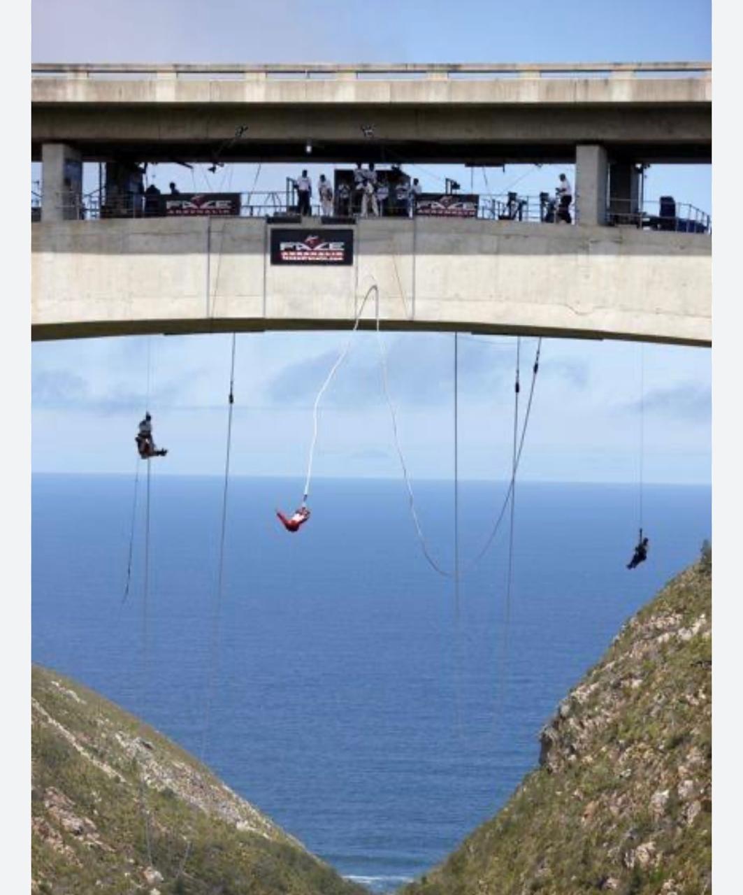 Bungee jumper leaping from Bloukrans Bridge on the Garden Route