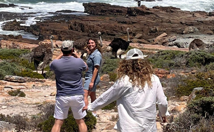 Private and custom Cape Town tours