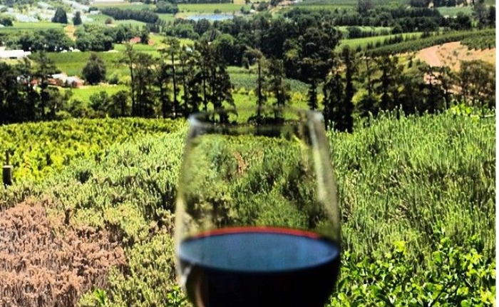 Cape Winelands wine tasting tour in Stellenbosch and Franschhoek